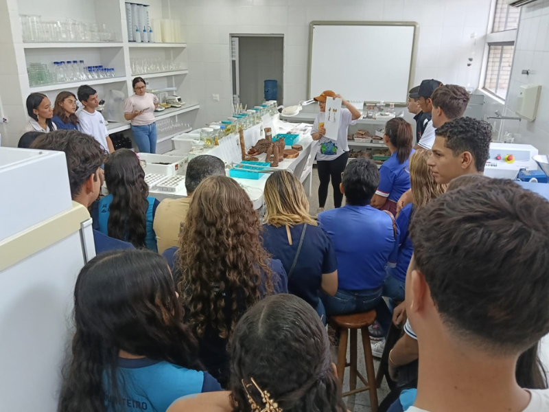 imagem sem descrição.