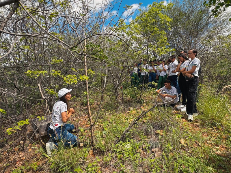imagem sem descrição.