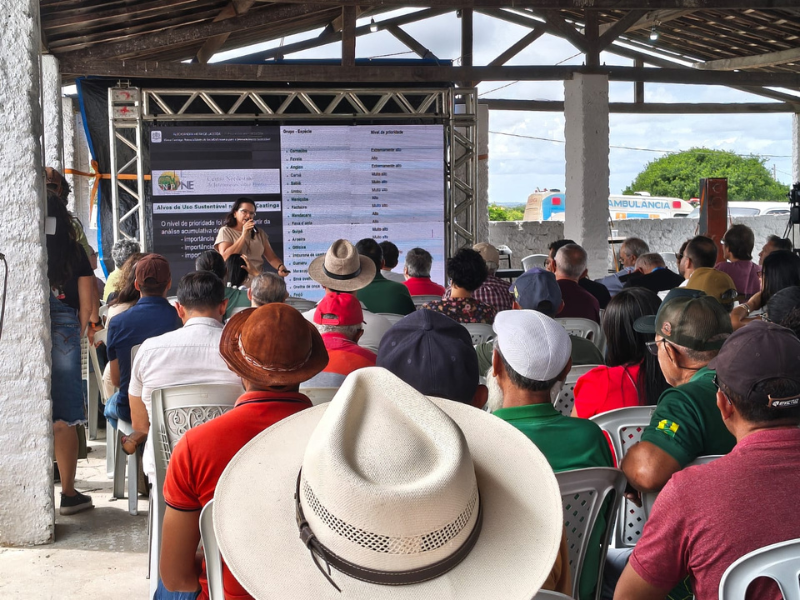 imagem sem descrição.