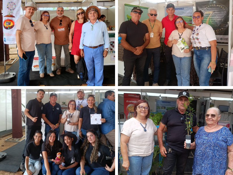 imagem sem descrição.