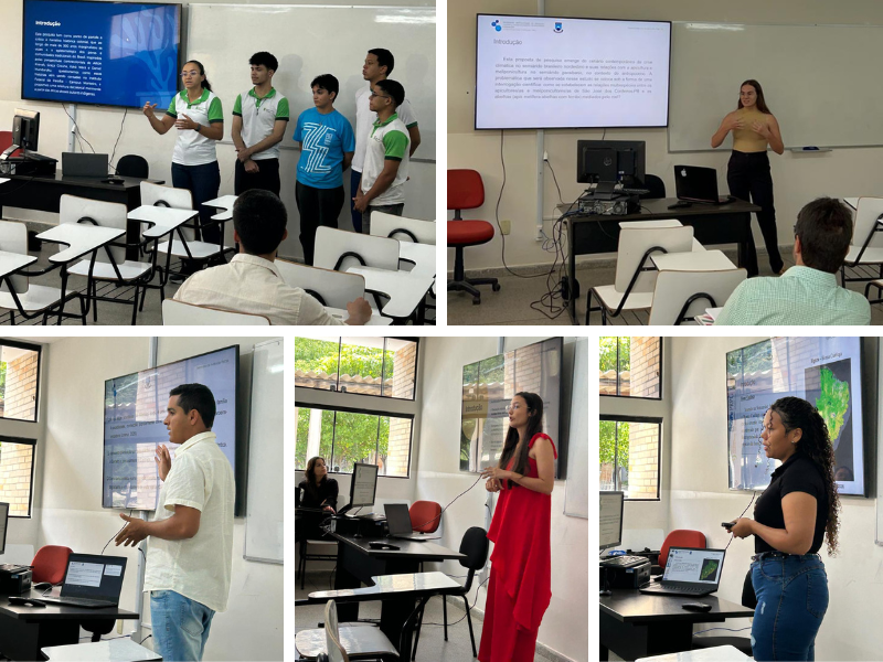 imagem sem descrição.