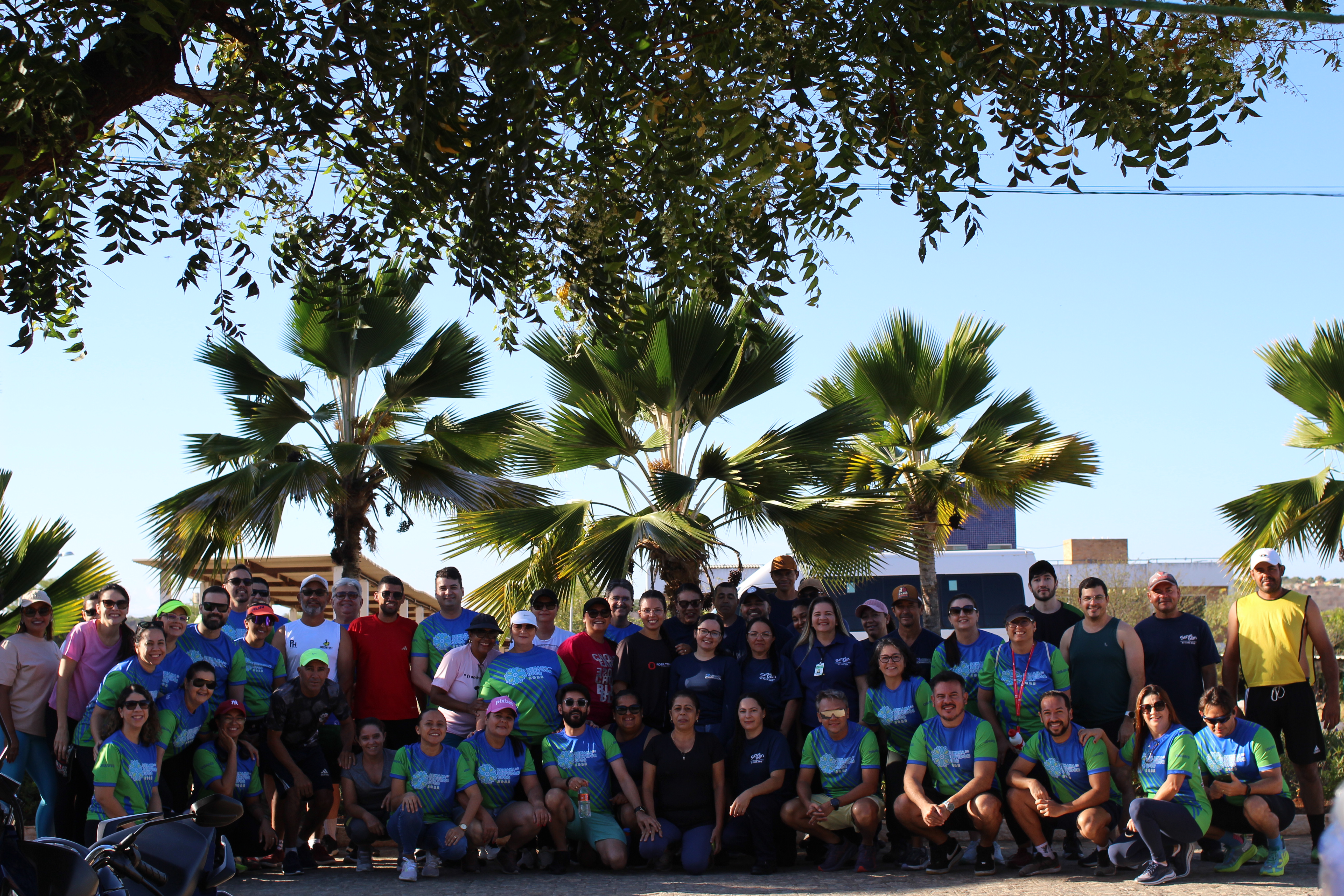 imagem sem descrição.