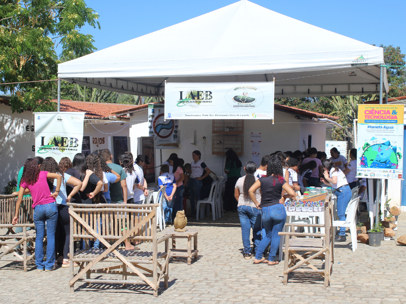 imagem sem descrição.